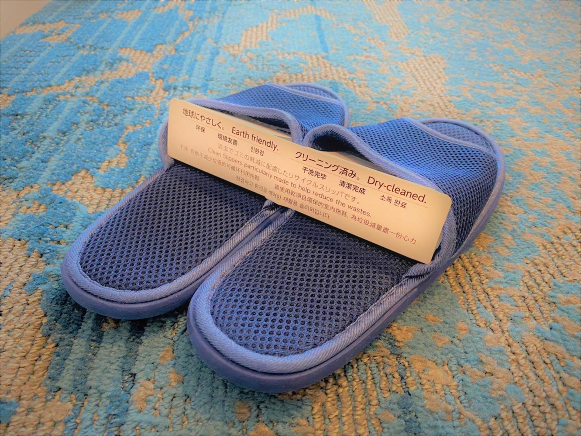 Sapporo Prince Hotel Exterior photo A pair of disposable slippers